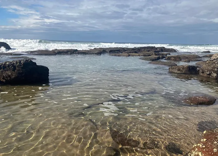 Milkwood Haven