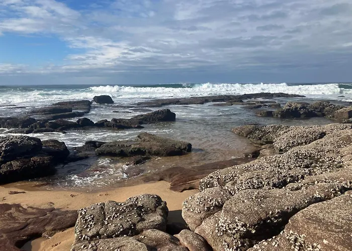 Milkwood Haven